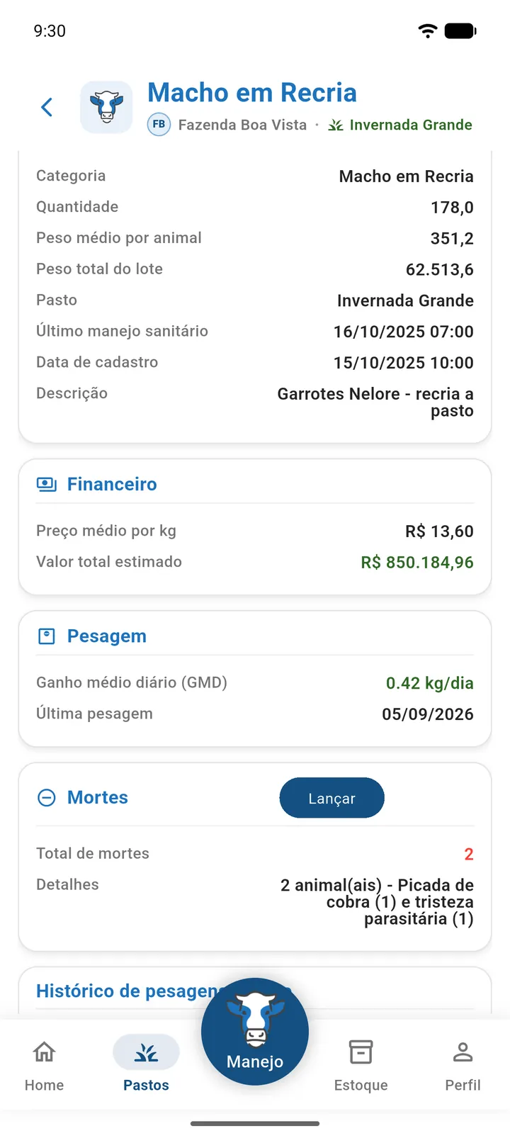 Cartões Financeiro e Mortes da ficha do lote