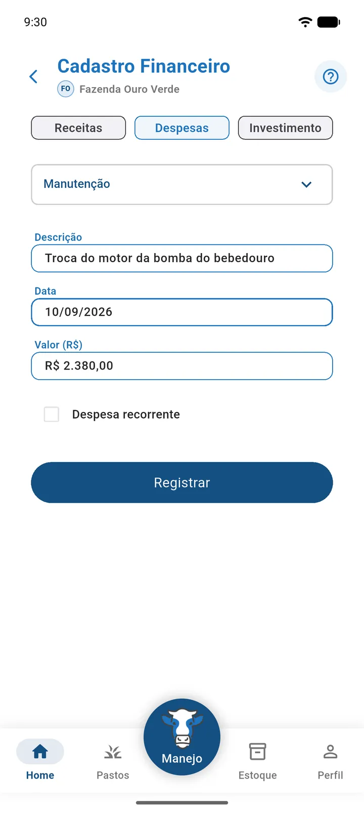 Tela Cadastro Financeiro, aba Despesas, com Tipo de Despesa Manutenção e os campos preenchidos