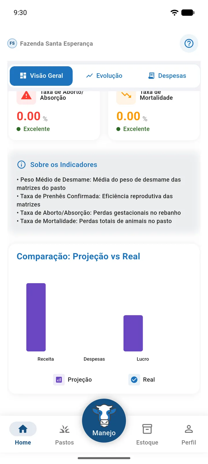 Gráfico Comparação: Projeção vs Real com barras de Receita, Despesas e Lucro