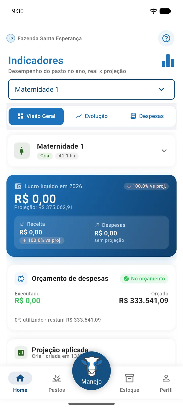 Aba Visão Geral com o cartão do pasto, o cartão Lucro líquido do ano com a projeção e o cartão Orçamento de despesas