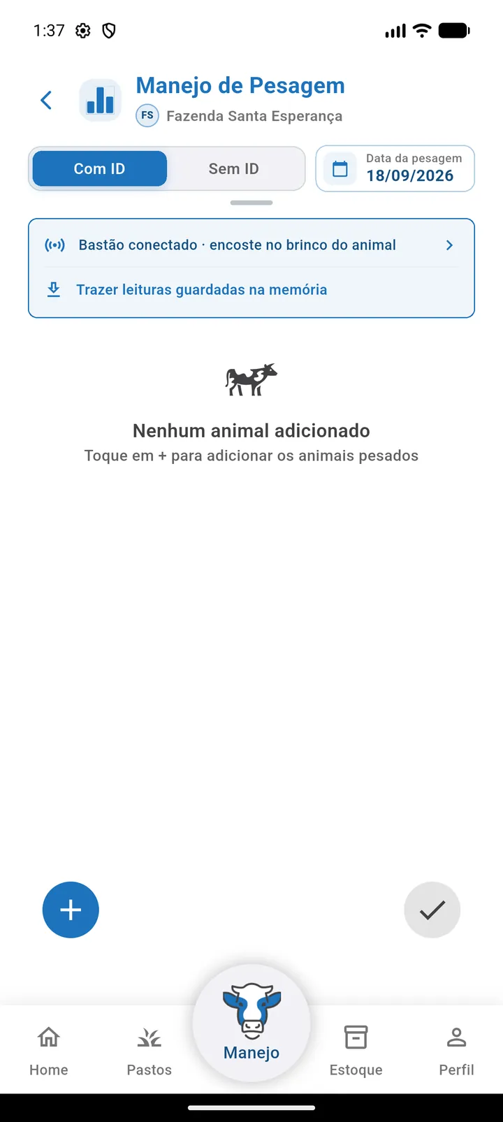 Manejo de pesagem com a faixa Bastão conectado, encoste no brinco do animal, e o atalho Trazer leituras guardadas na memória