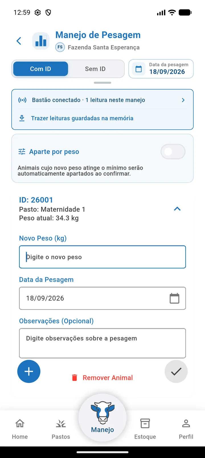 Pesagem com o animal 26001 adicionado pela leitura do bastão, card aberto e cursor no campo Novo Peso