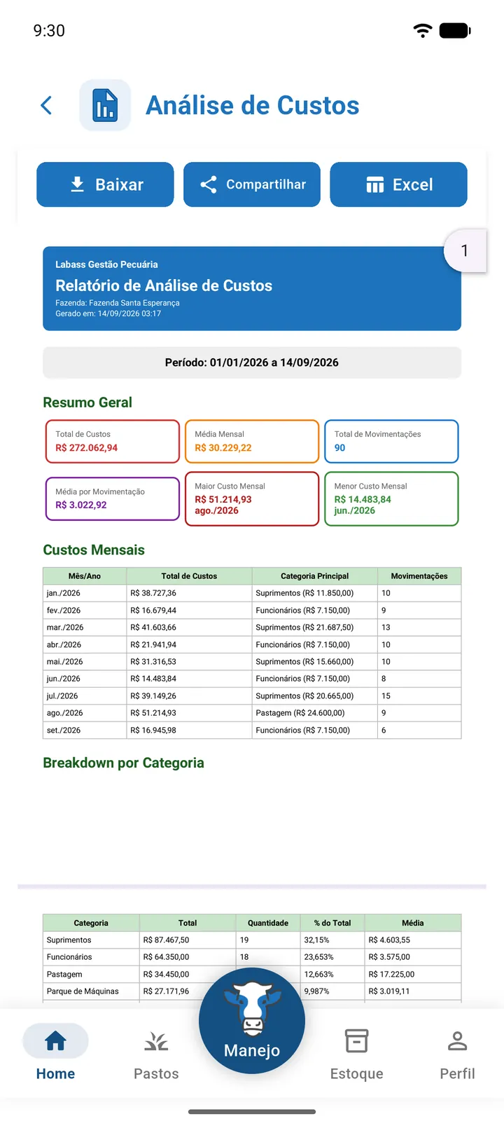 PDF de Análise de Custos com o Breakdown por Categoria
