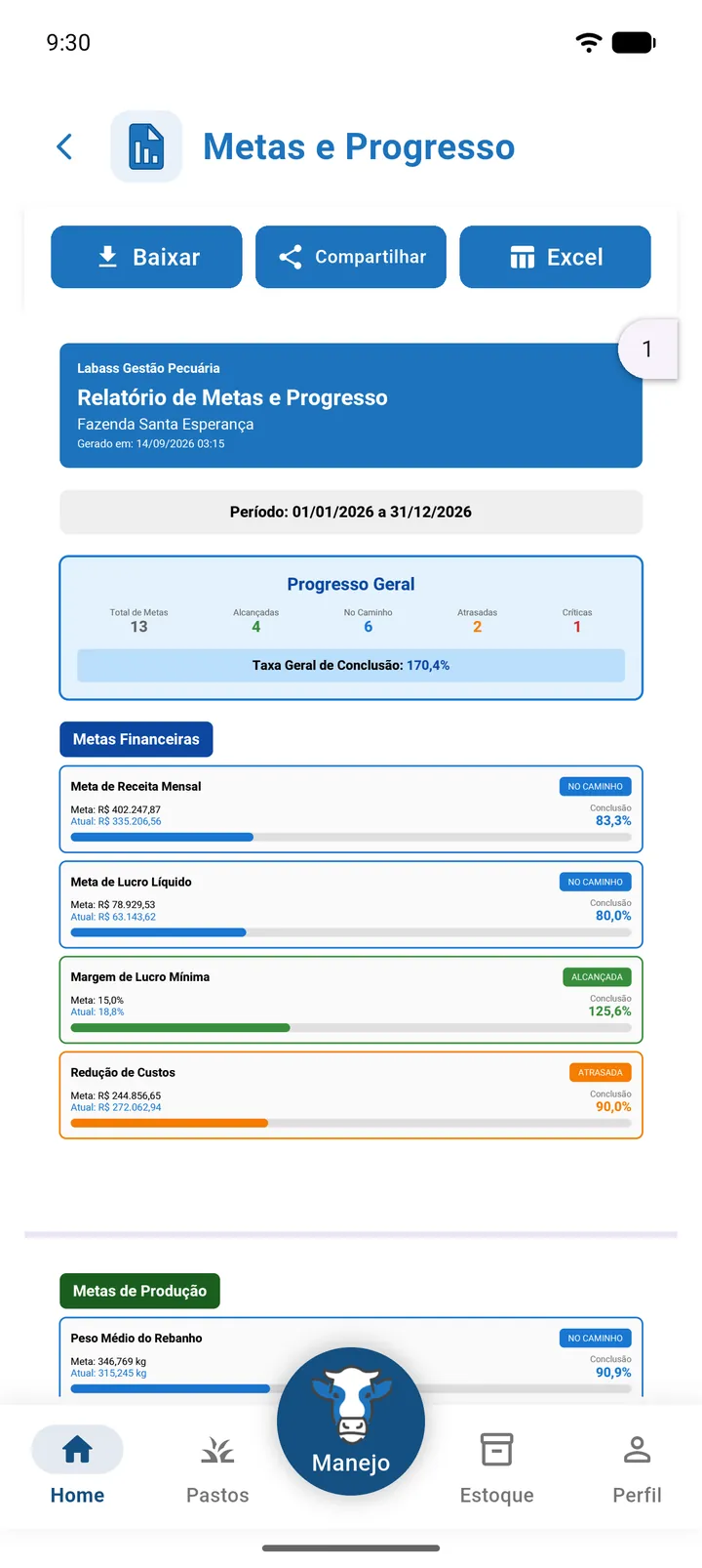 PDF de Metas e Progresso com o Progresso Geral e as Metas Financeiras
