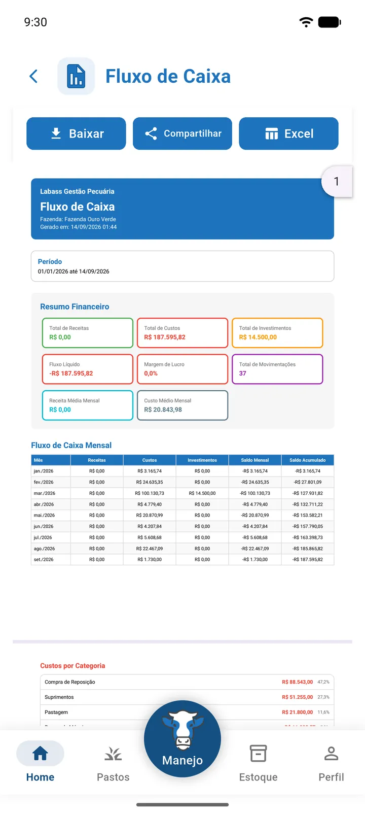 Visualizador de relatório com um PDF aberto e os botões Baixar, Compartilhar e Excel